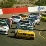 Tennis Guide: Choosing Your Racquet Equipment